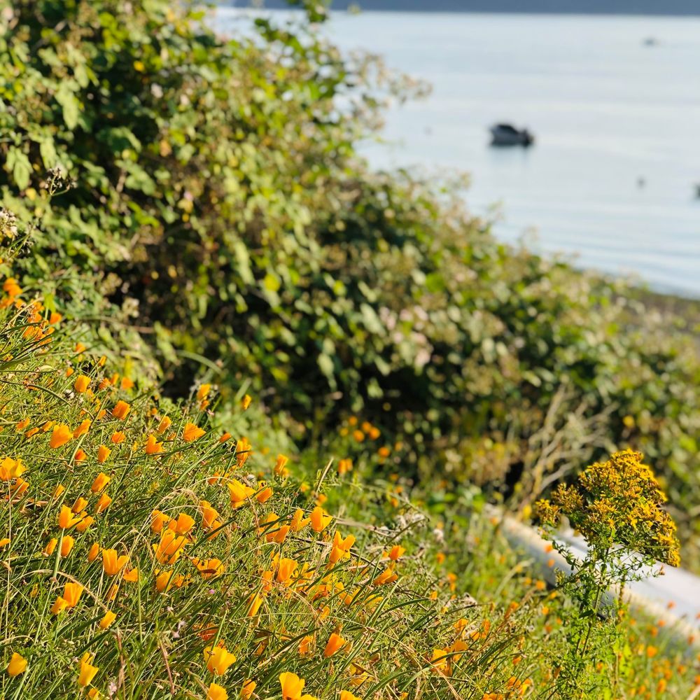 Meet your Posher, Lara